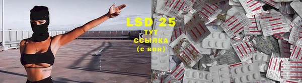 прущая мука Няндома