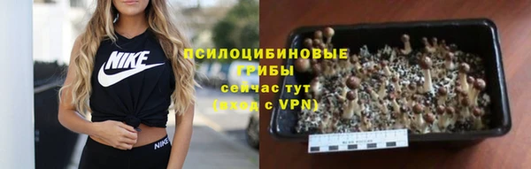 прущая мука Няндома