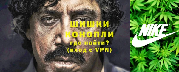 ECSTASY Нязепетровск