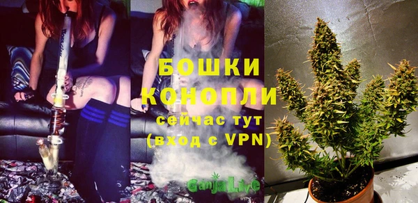 прущая мука Няндома