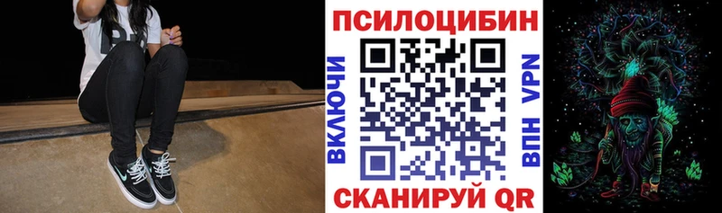 Псилоцибиновые грибы Psilocybe  Кашин 